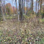 43 Obrien Glenway Oswego, NY 13126 (BUILDABLE LOT)