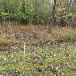 23 Jordan Way Oswego, NY 13126 (BUILDABLE LOT)